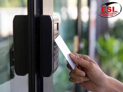 electronic access control system for businesses